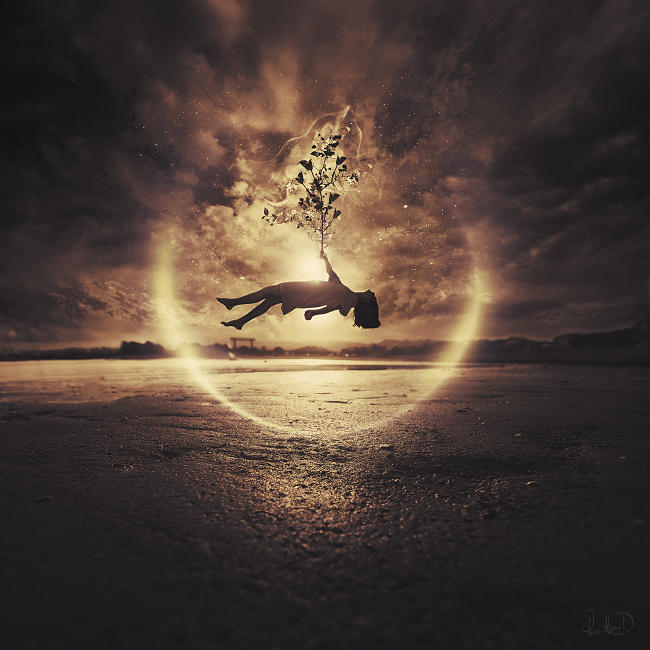 Seeds Of Life by 3mmI