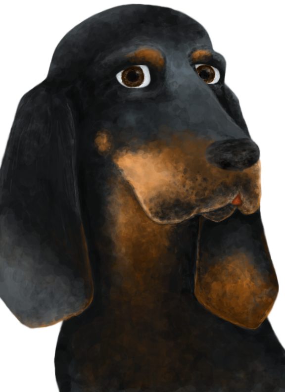Coonhound by iceiwynd