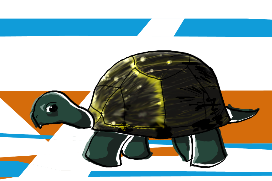 Turtle by iceiwynd