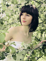 where are you, rabbit? by yumenonikki