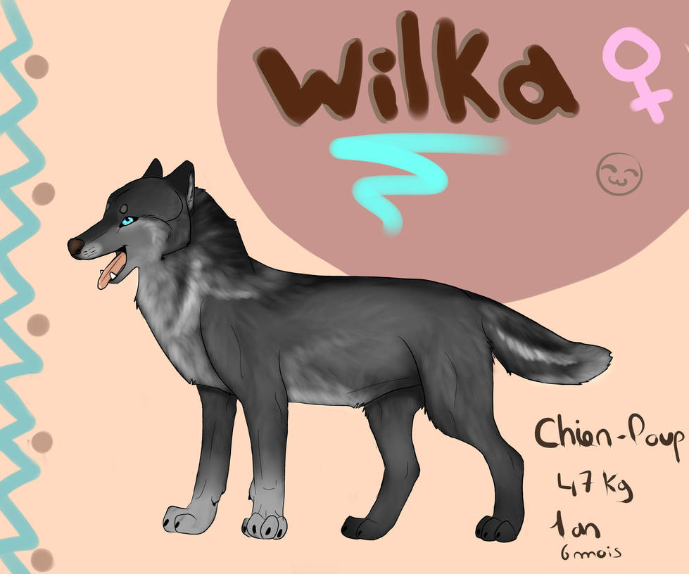 OC reference : Wilka by BlastOfWinter