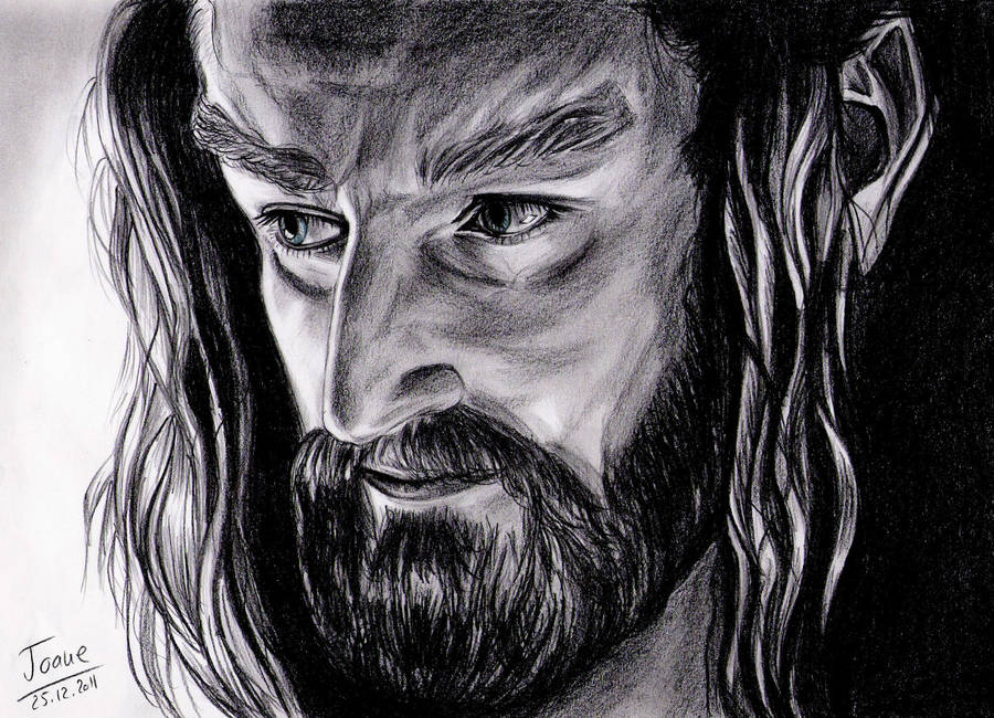 Richard Armitage, Thorin Oakenshield by jos2507