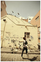 those damn pigeons by beethy