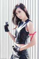Advent Children - Tifa by beethy
