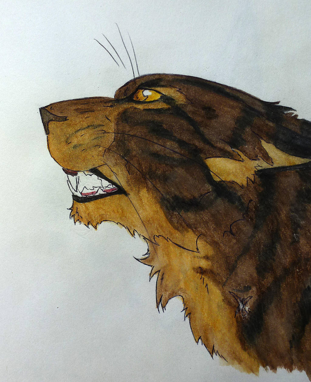 AWAW 027 - Tigerheart by KiddosNightmare