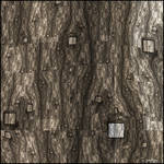Bark 2 by pillemaster