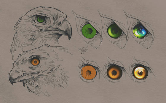 Birds of Prey Eyes Tutorial (PSD Included) by Volinfer