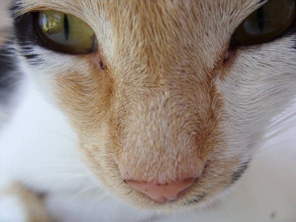 Eyes of a mother by Ithfifi