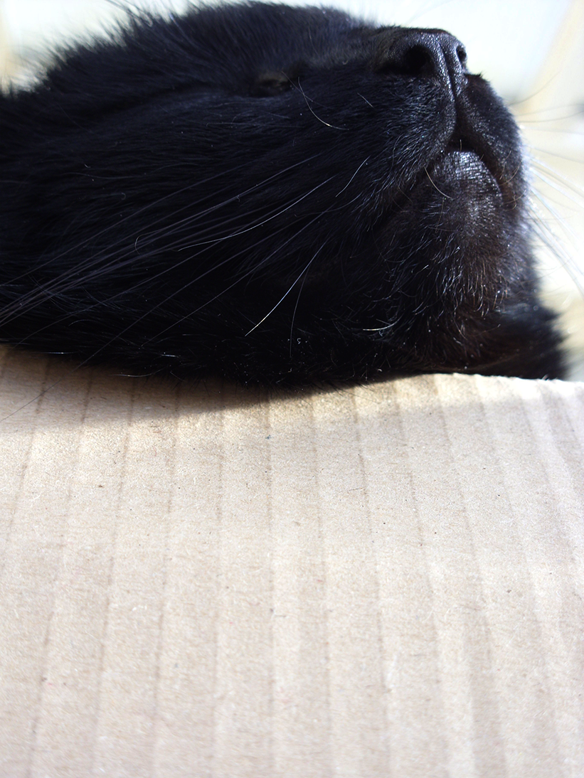 Cardboard Castles by Ithfifi