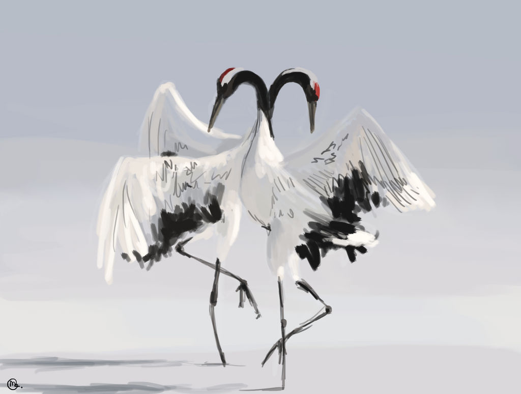 Dancing Japanese Cranes by Starquilled on DeviantArt
