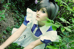 Searching - Ciel in Wonderland by Sasurealian