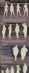 Female Body Types Tutorial by Phobos-Romulus