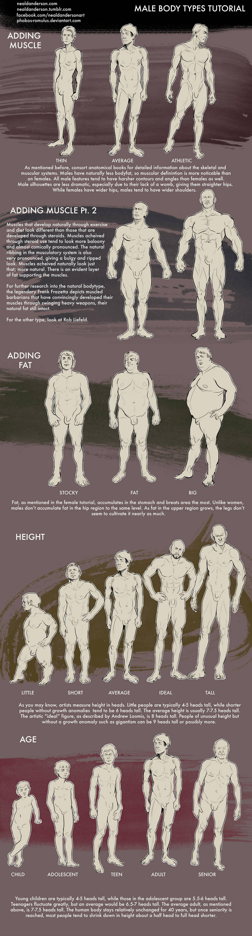 Male Body Types Tutorial by Phobos-Romulus