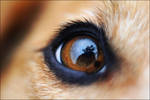 My world in your eyes by jollyvicky