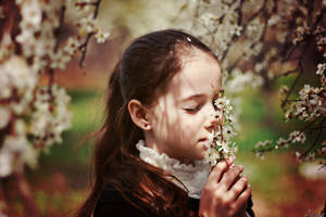 spring by mechtaniya