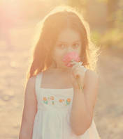 sunset...summer... by mechtaniya