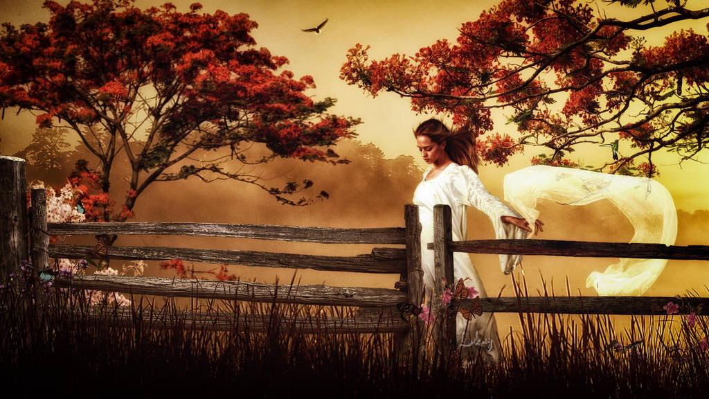 Field of dreams by burog80008 on DeviantArt