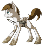 Nova Quickie by Clawed-Nyasu