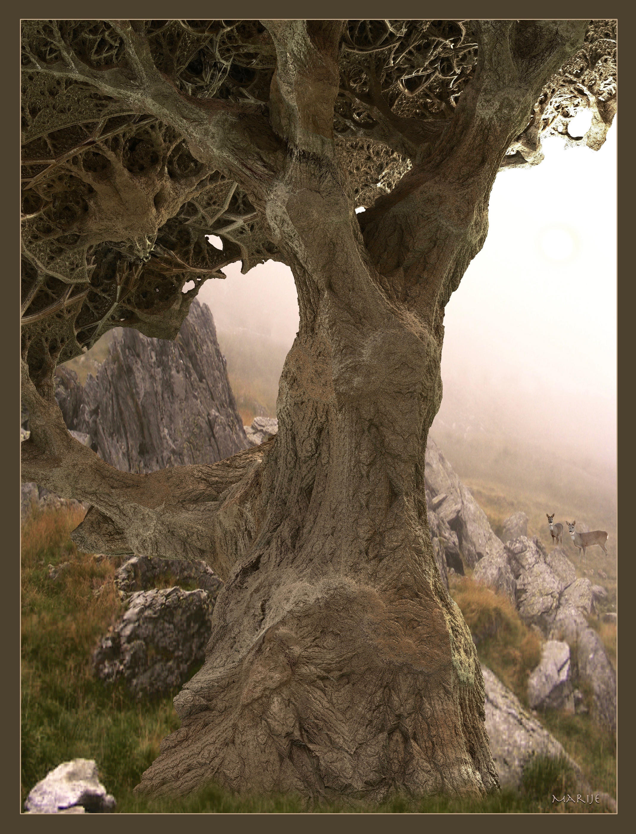 Oak in a misty morning by marijeberting