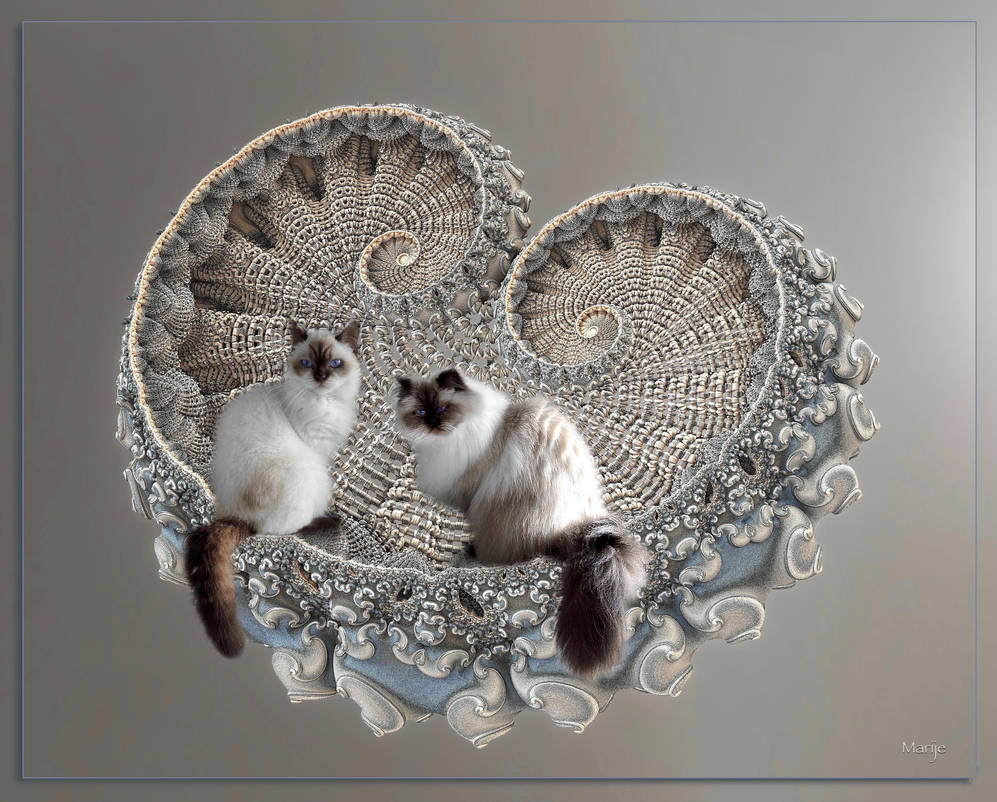 Cohabitation by marijeberting Cohabitation by marijeberting