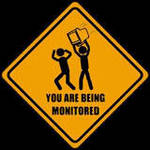 You are being monitored by AmberPalette