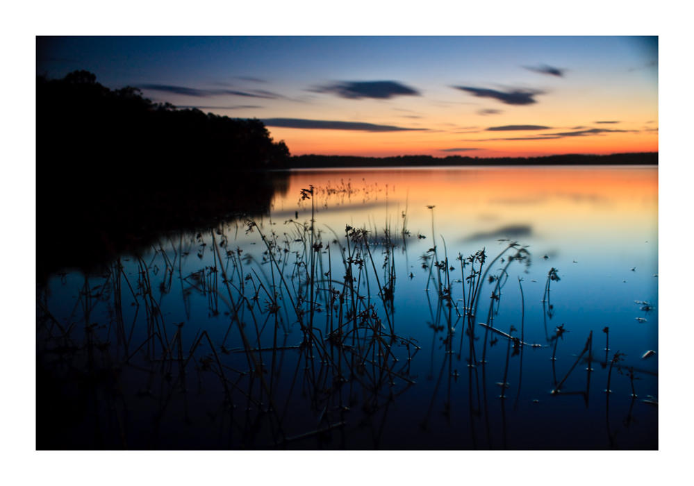 The Last Dance by GVA