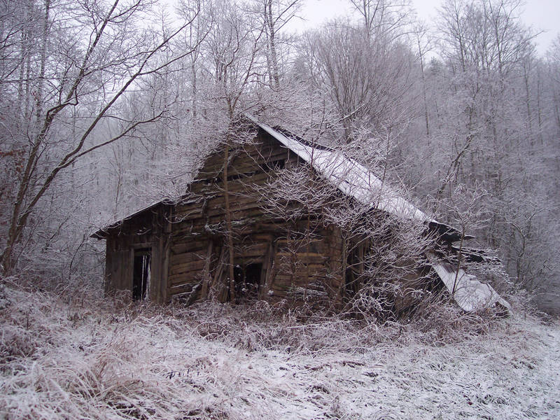 Winter Stock 1 by ZaluRagar