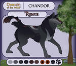 DotW: Remus by Joshua-Kim