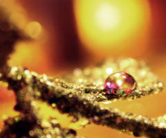 Brilliant Show by photonerd16