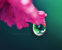 hold on tight by BestDay