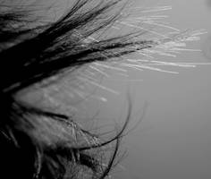 Spontaneous by lidaC