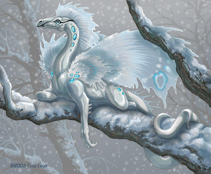 Little Snow Dragon. by jaxxblackfox
