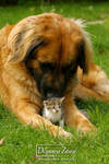 the big friend by Kirikina