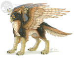 Griffon - Avian Companion by KatieHofgard