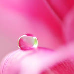 droplet 015 by AlexEdg