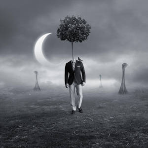 pilgrim by beyzayildirim77 pilgrim by beyzayildirim77