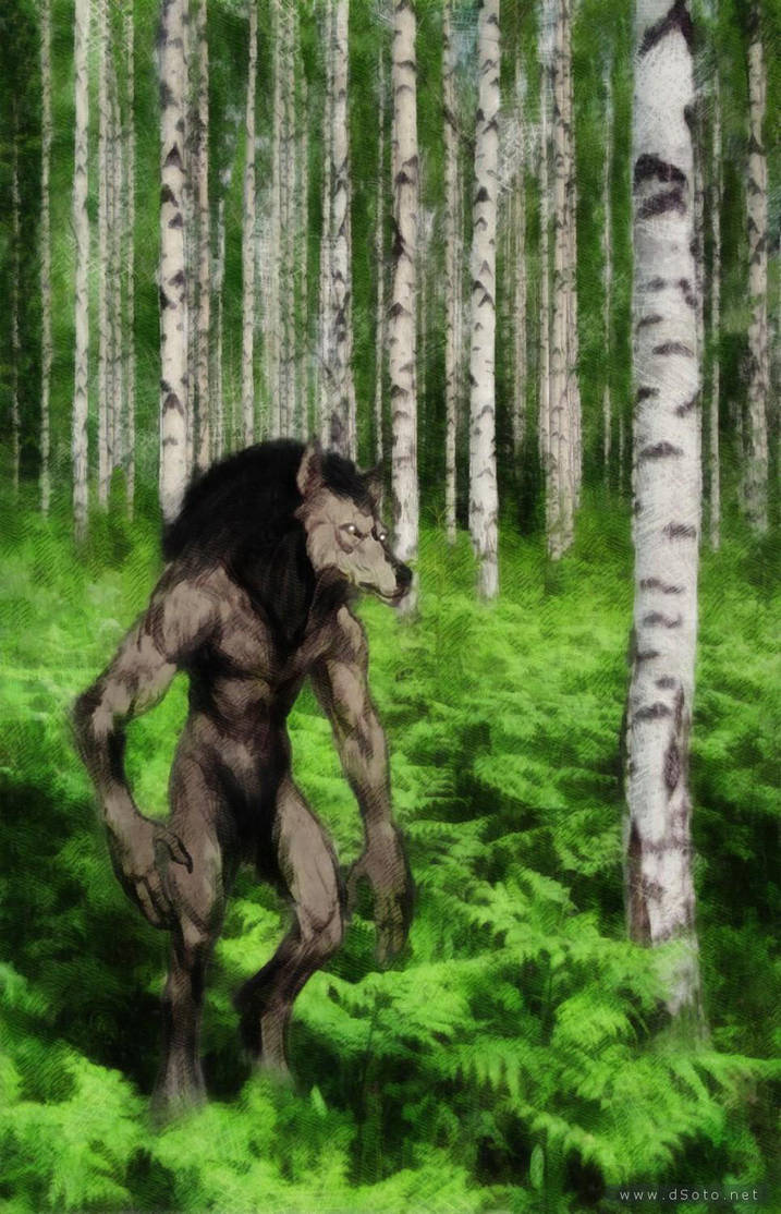 Wolfman by dSoto-Studio