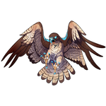 Hawk by Ulfrheim