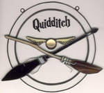 quidditch by toroj