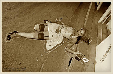 toll booth murder three by Hollinger