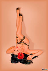Nude stockings by Hollinger