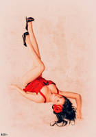 Down Mexico Way by Hollinger