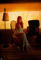 Sweet Home Alabama by Hollinger