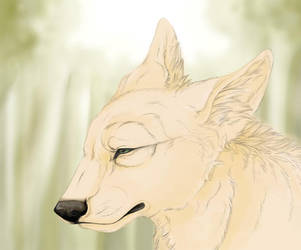 Ronto (The Silver She-Wolf) | DeviantArt