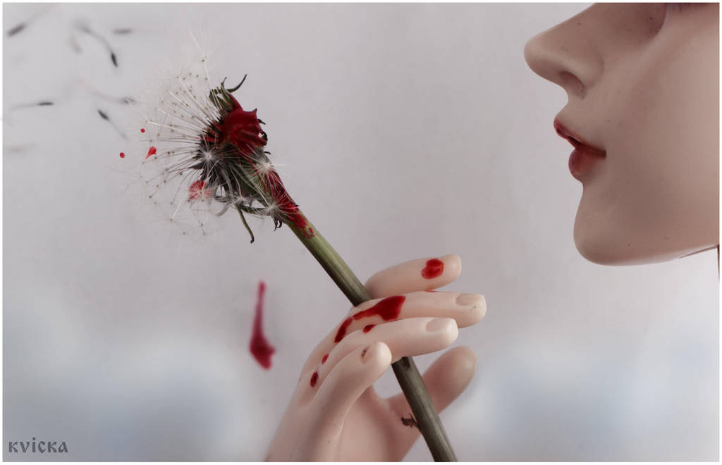 Dandelion by kvicka