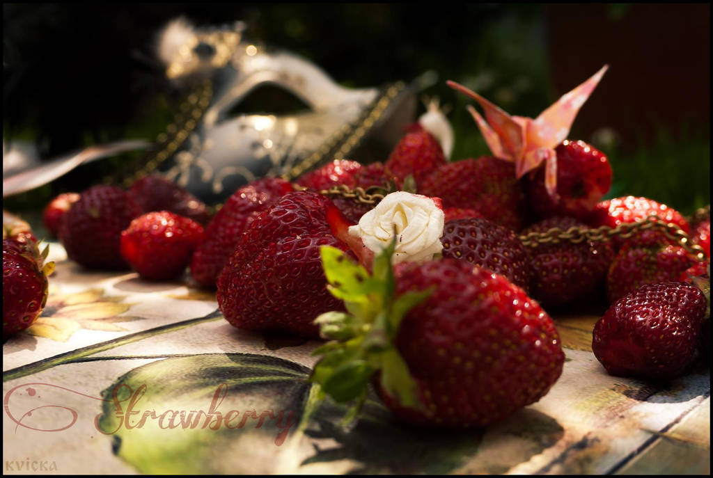 Fruit project - Strawberry by kvicka