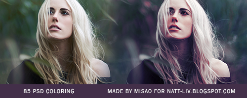 85 psd coloring by devilMisao