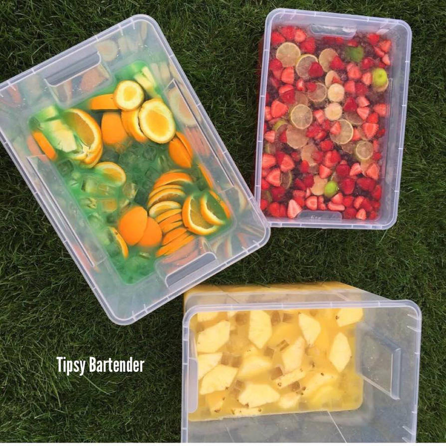 Jungle Juice Party By Tipsybartender On Deviantart Jungle Juice Party By Tipsybartender