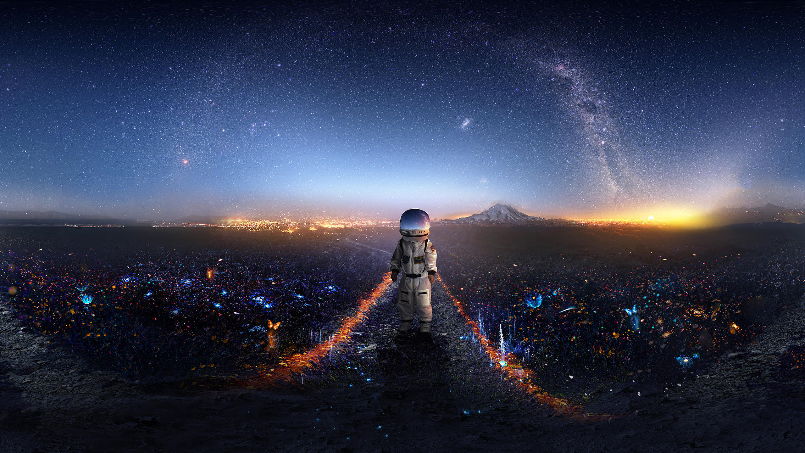 Signal - 360 by t1na