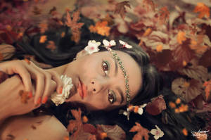In a bed of leaves by AnnOmar
